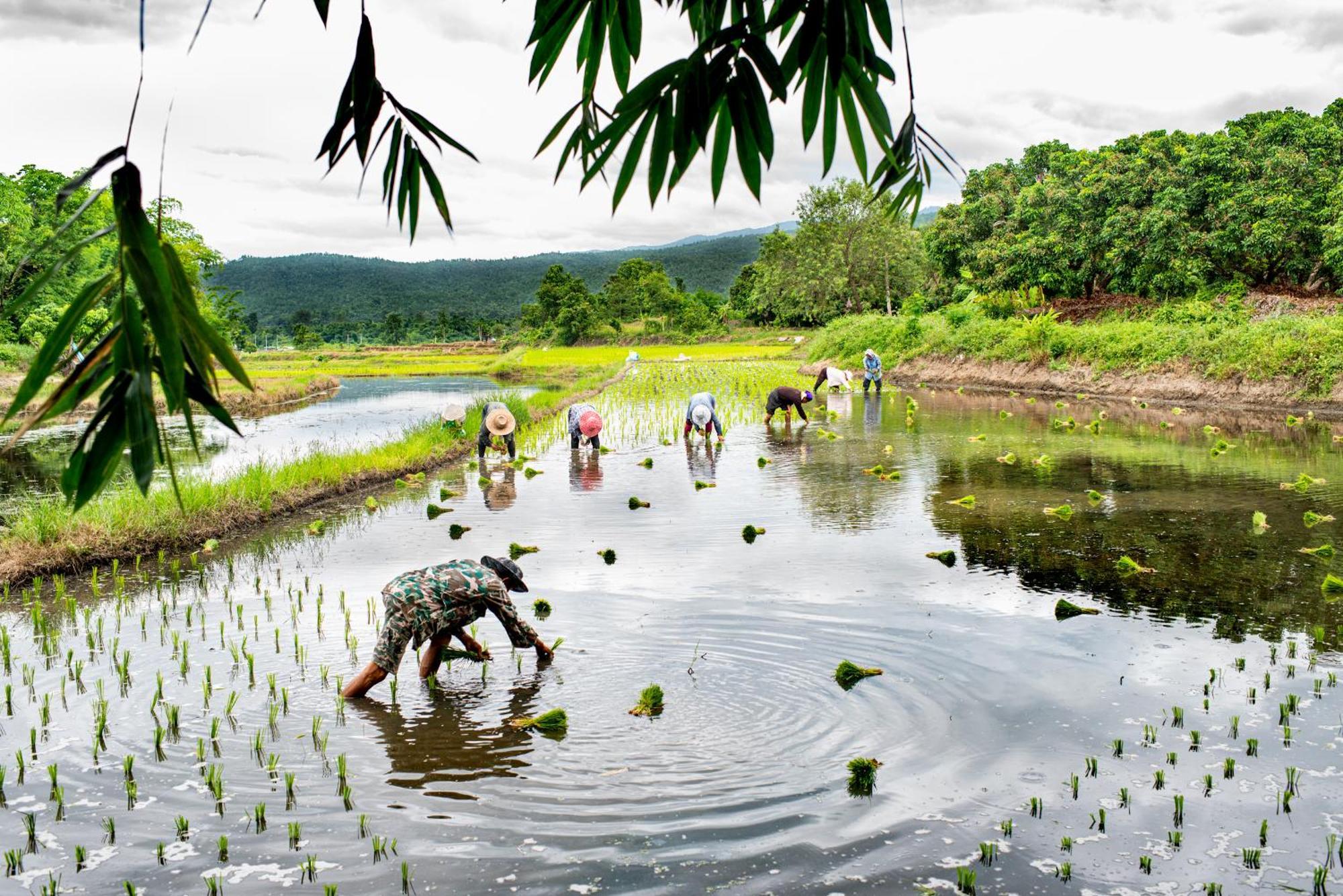 Suan Sook Homestay Chom Thong Esterno foto