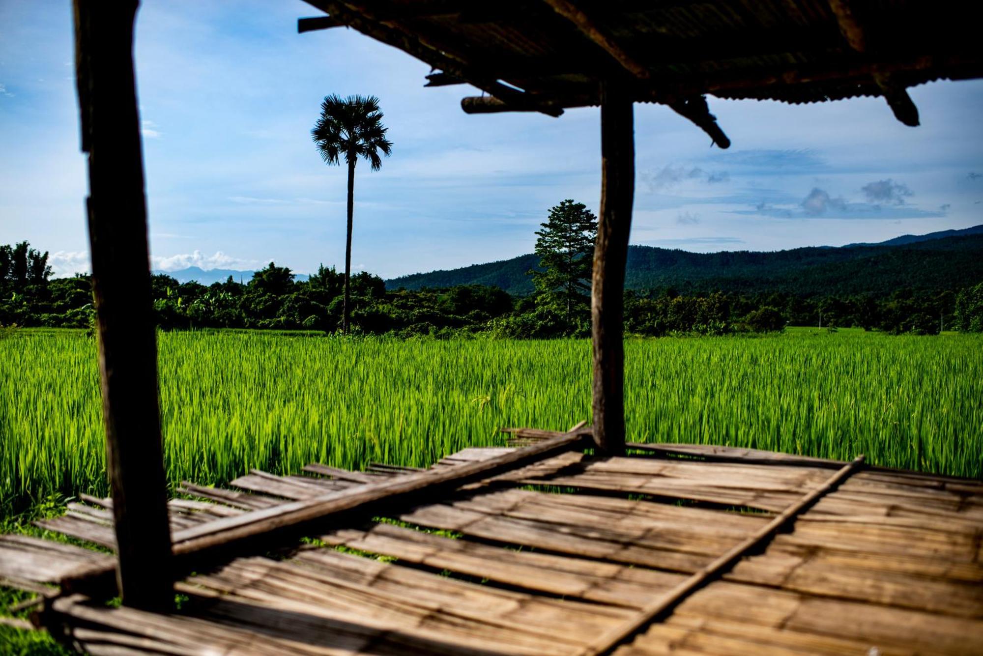Suan Sook Homestay Chom Thong Esterno foto